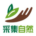 采集自然饮料批发