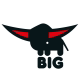 big旗舰店 店铺LOGO