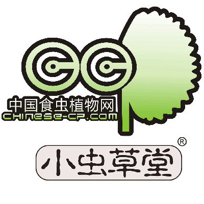 小虫草堂(食虫植物)