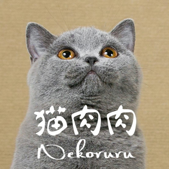 猫肉肉 NEKORURU