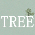 TREE korea socks 店铺LOGO