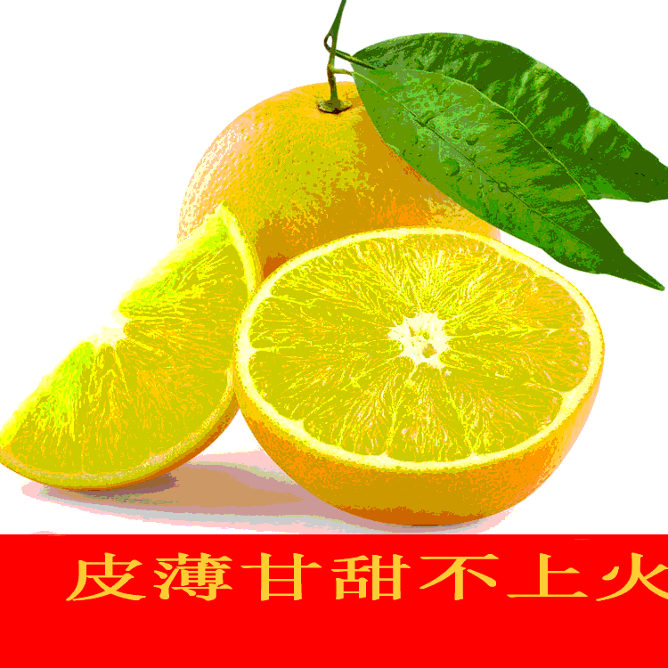 永兴县思乡农家土货店