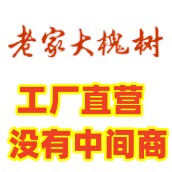 老家大槐树厂销店