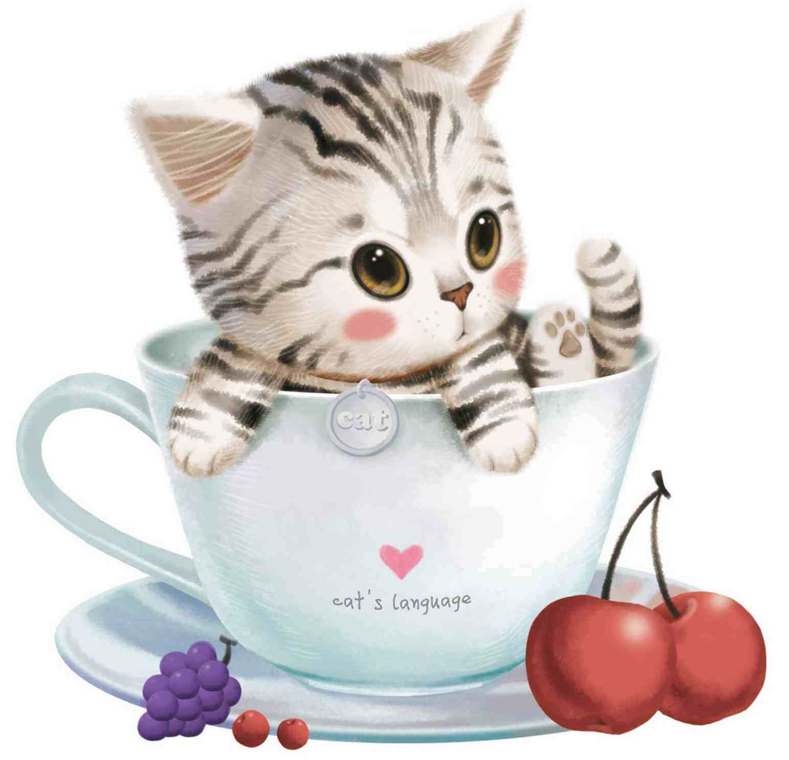 甜甜猫童装店