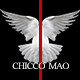 CHICCO MAO设计师毛宝宝