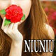 NIUNIU美衣 店铺LOGO