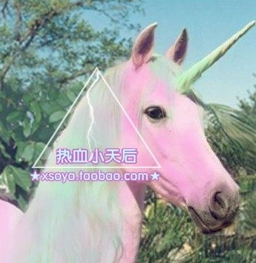热血小天后XSOYA SHOP原创