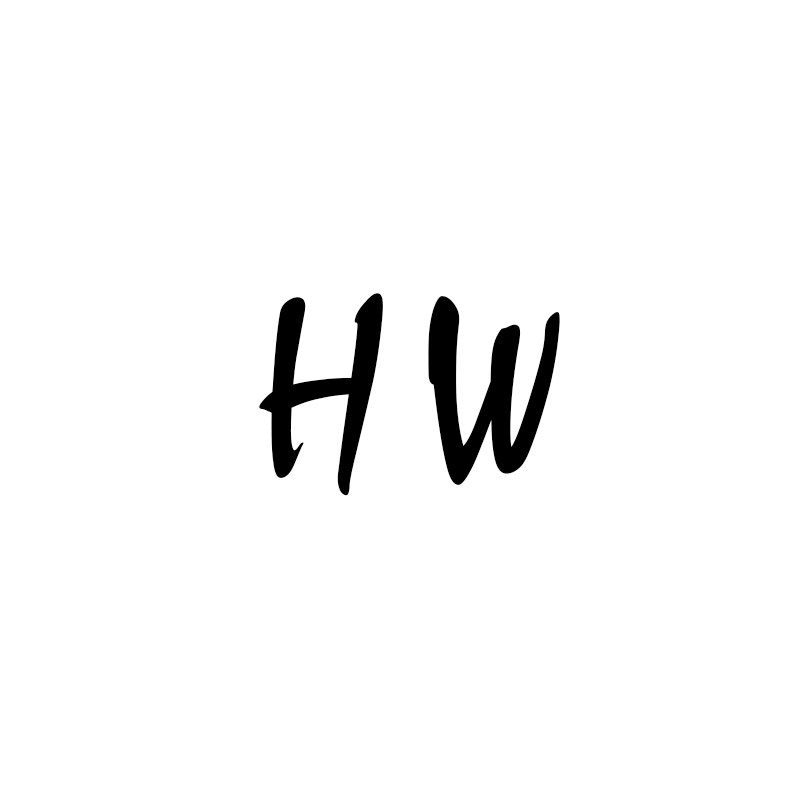 HW 随视觉