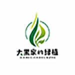 大黑家的绿植