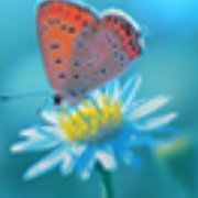 棉麻布料之家