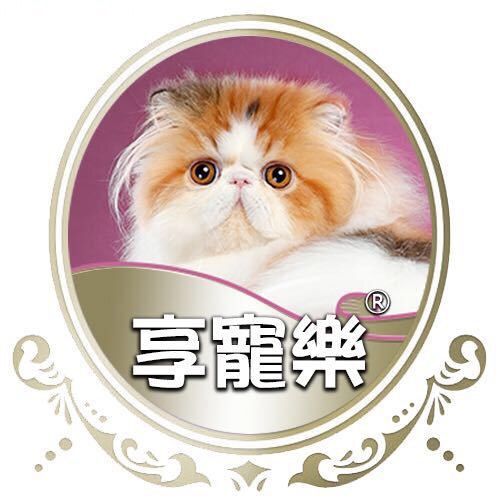 南哥教你养猫生活小馆