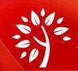 美丽买卖医学护肤