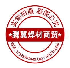 德国蒂森焊丝焊条
