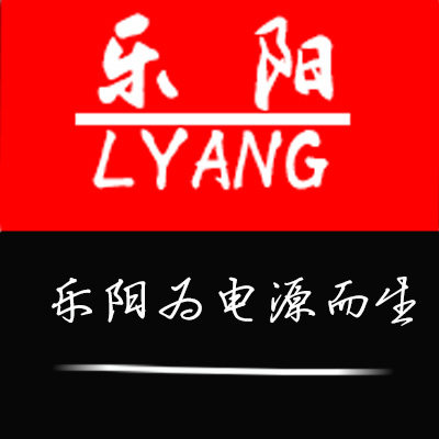 乐阳电源工厂直销店