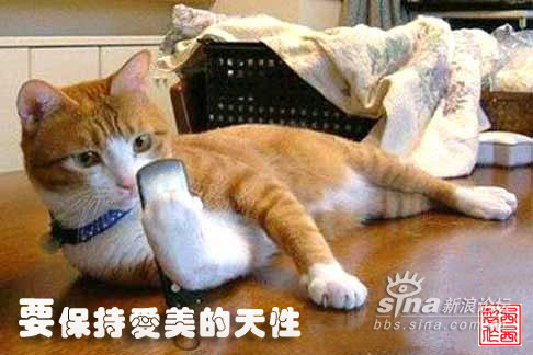 好彩猫儿品牌真皮折扣店