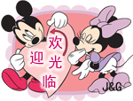 幽雅紫罗兰