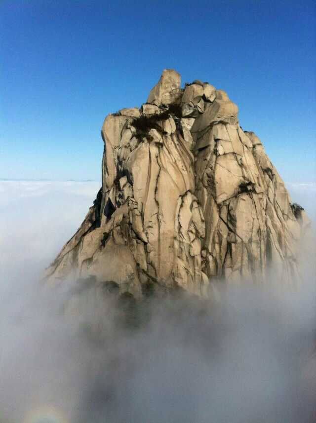中国天柱山瓜蒌籽