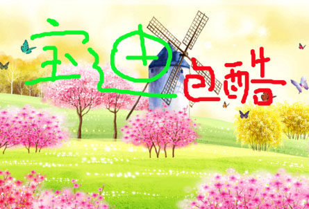 宝迪包酷 店铺LOGO