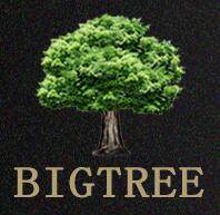 BIGTREE女鞋官方店
