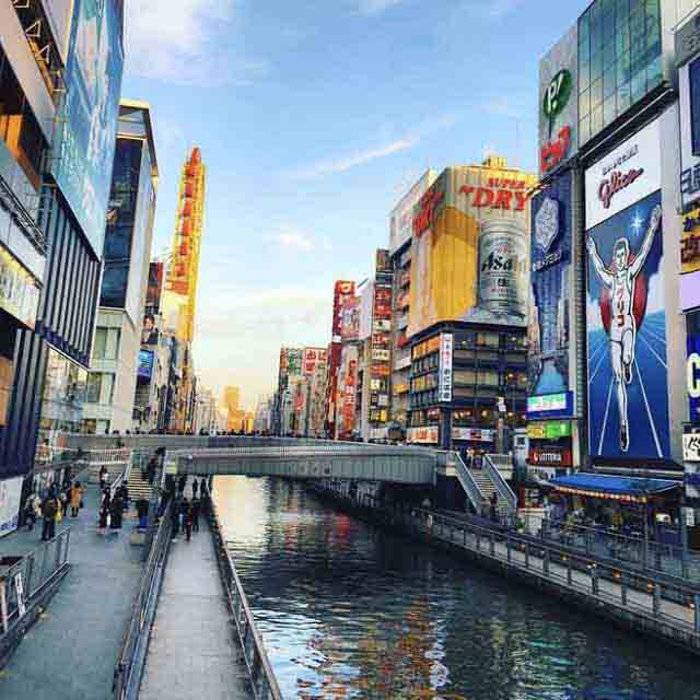 和雅园 日本专业代购