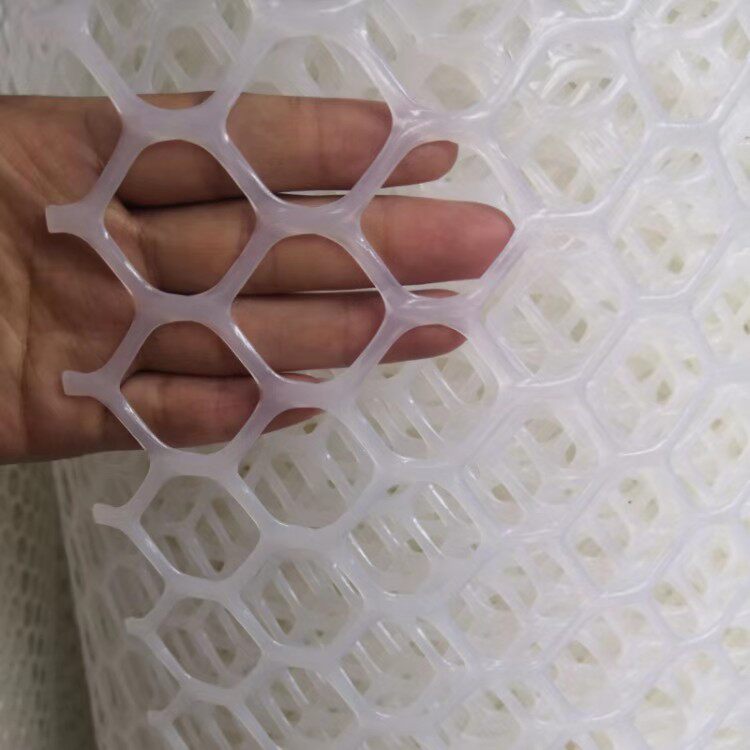 河北荣妍丝网