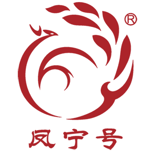 凤宁号旗舰店 店铺LOGO