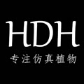 hdh旗舰店 店铺LOGO