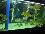 天津浩海水族品质保证