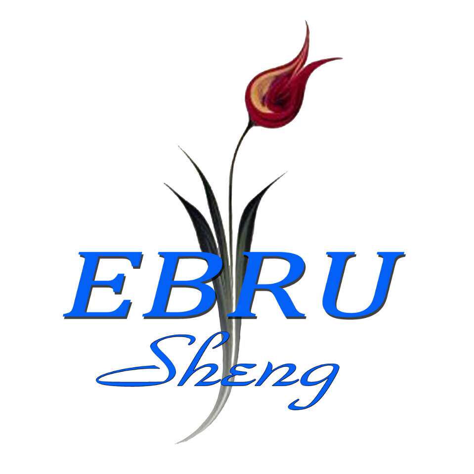 Ebru湿拓画 店铺LOGO