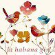 La Habana girl哈瓦那