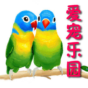 爱宠の乐园