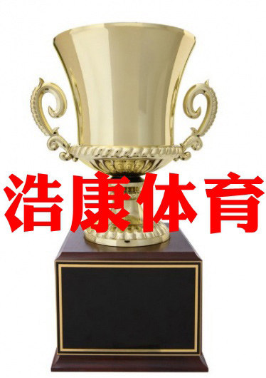 浩康体育 店铺LOGO