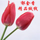 郁金香精品绒线 店铺LOGO