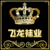 飞龙袜业 店铺LOGO