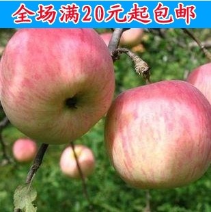农资淘88 店铺LOGO