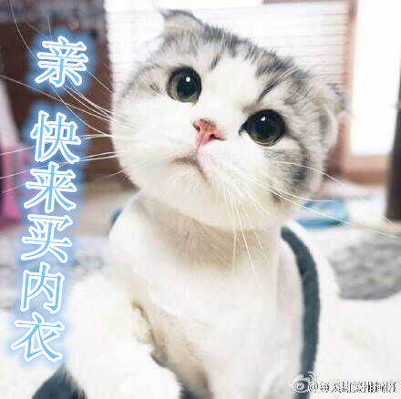 亲亲内衣品牌店