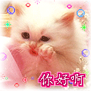 东莞市欧凯电子