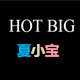 夏小宝的店 店铺LOGO
