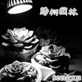腾栩