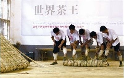安化一品茶行