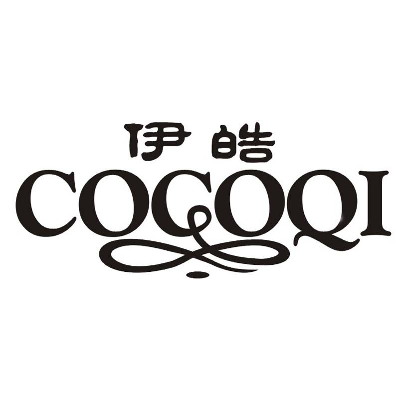 伊皓汽车用品专营店