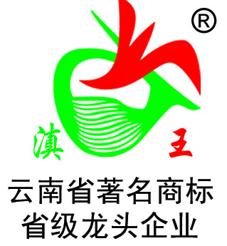 滇王食品企业店