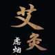 天阳艾灸仪 店铺LOGO