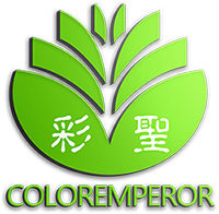 彩圣君的油墨世界