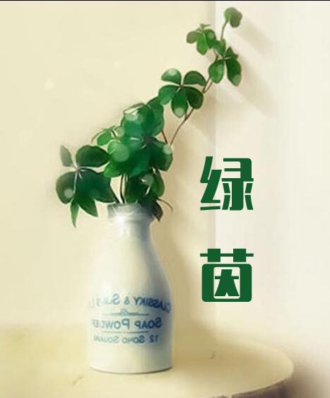 超宝产品绿茵店