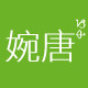 婉唐车品专营店