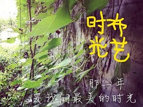 布艺时光5352