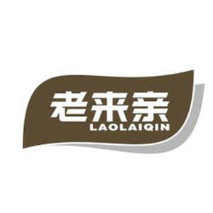 老来亲成人护理