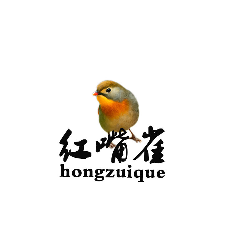 南宁佰乐数码音频店