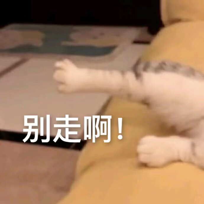 妈 我袜子呢